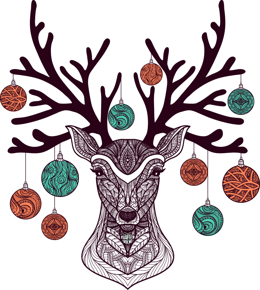 2017 Specialty Coffee Advent Calendar KaffeBox no