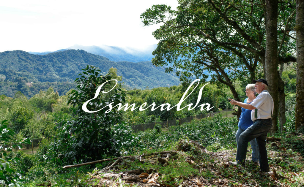 esmeralda geisha
