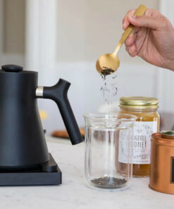 corvo ekg electric kettle best tea kettle