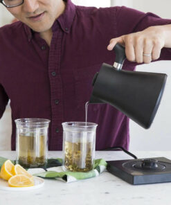 corvo ekg electric kettle brewing