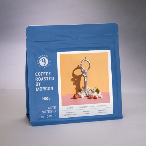 Montero natural Geisha