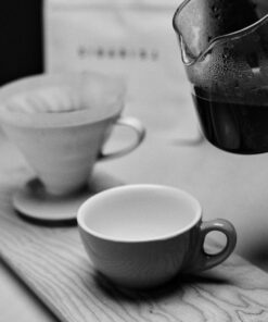 Sibarist fast specialty coffee filter cup
