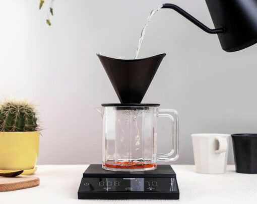 felicita parallel plus top view brew