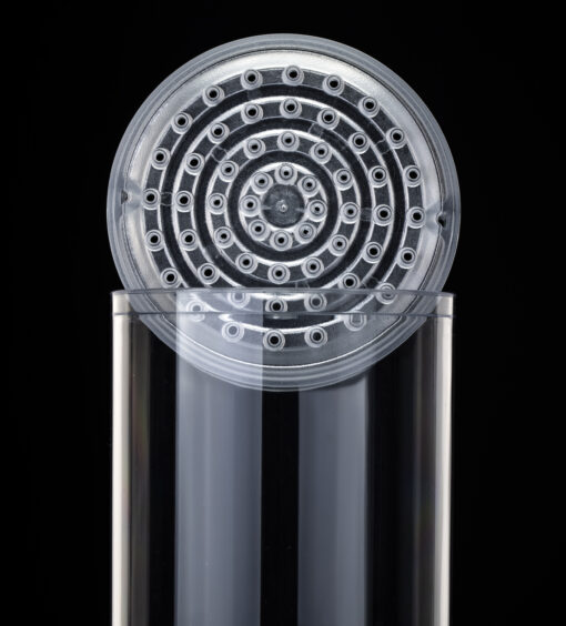 Tricolate Brewer - Image 14