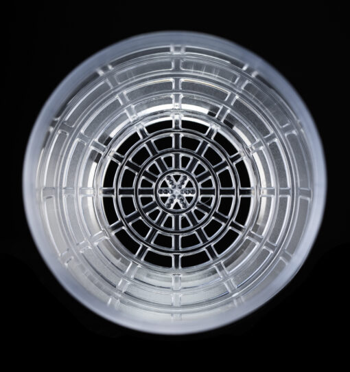 Tricolate Brewer - Image 15