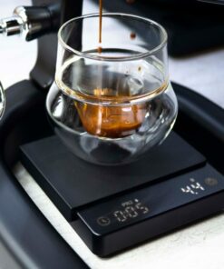 flair brew scale