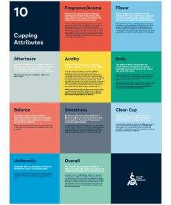 Cupping Attributes Poster - SCA