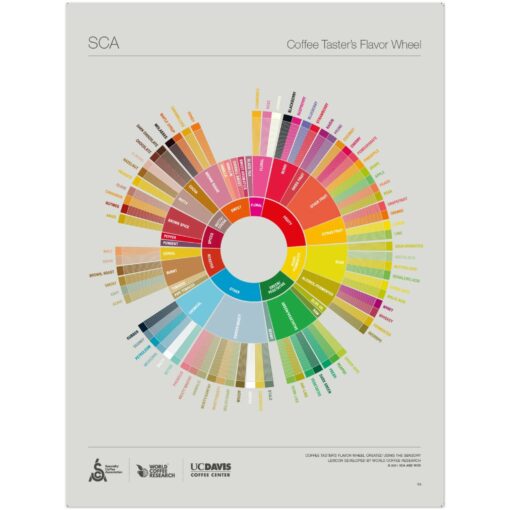 The Coffee Taster's Flavor Wheel Poster -SCA