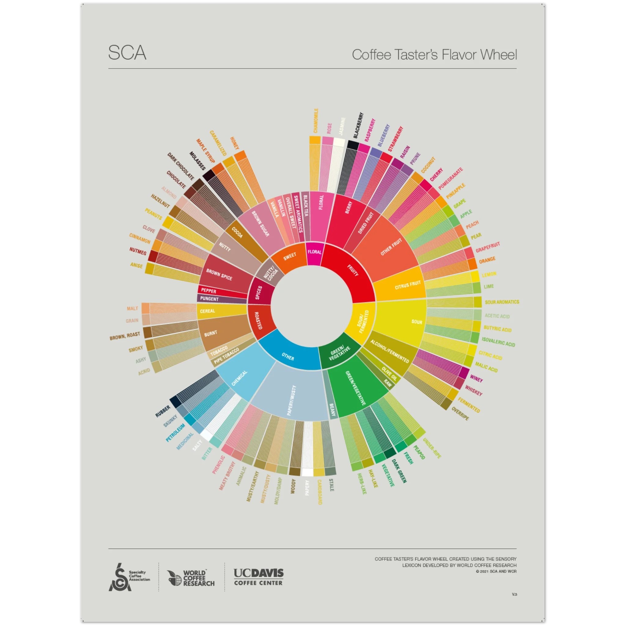 Specialty Coffee Association The Coffee Taster’s Flavor Wheel Poster -SCA, product image from Kaffebox