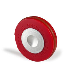 Flair NEO Flex Training Disc (2 Pack)