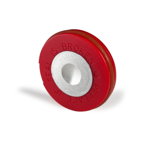 Flair NEO Flex Training Disc (2 Pack)