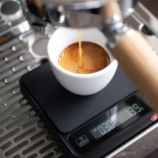Eureka Digital Scale Precisa - Image 4