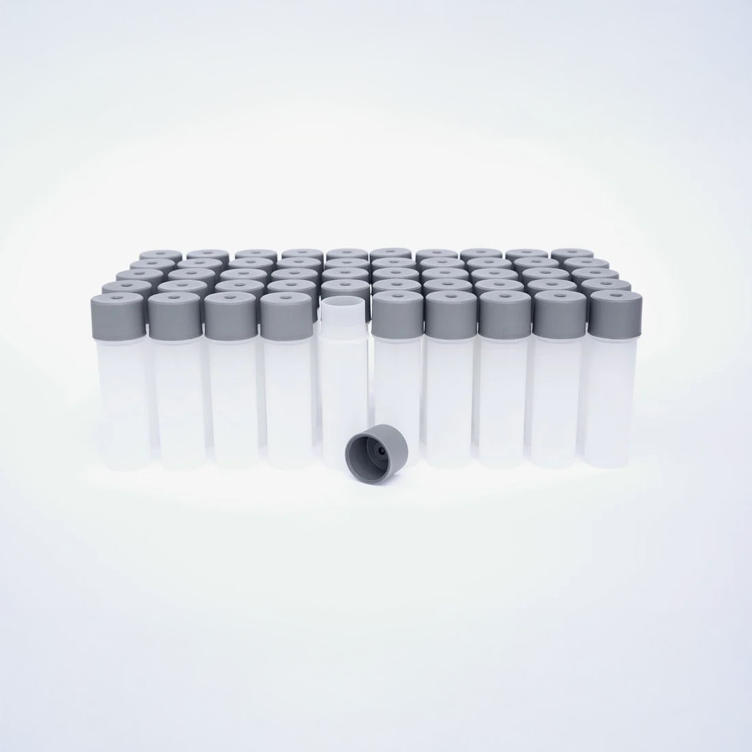 Weber Workshops Polymer Bean Cellar